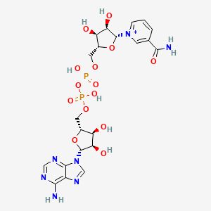 nad 500mg 4 nad 500mg 4